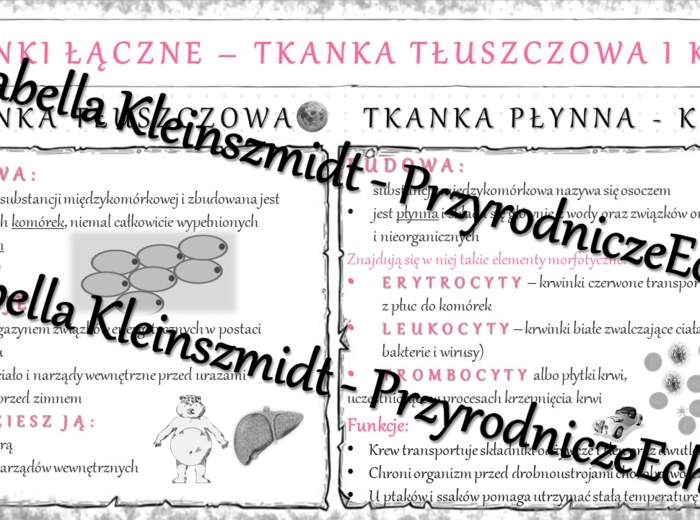 Sketchnotka - notatka „Tkanka łączna - tłuszczowa i krew” wykonana w power point do edycji. Biologia 6; „Świat zwierząt”