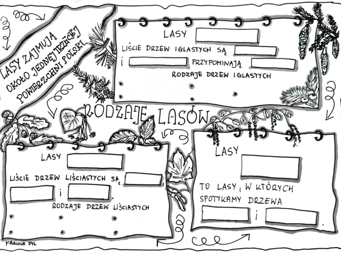 Rodzaje lasów. Karta pracy. Klasa 4