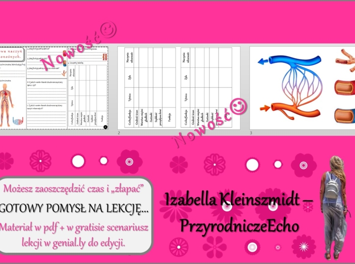 Pomysł na lekcję/karta pracy/stacje zadaniowe/materiał do lekcji do tematu „Budowa naczyń krwionośnych” w pdf. W gratisie niekomercyjny scenariusz lekcji/pomysł na lekcję w programie genial.ly do edycji. Biologia 7. Dział „Układ krwionośny”.