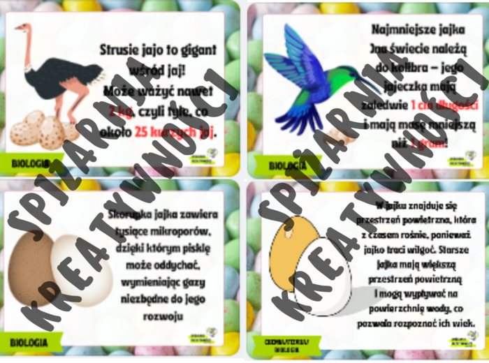 JajkoFakty – materiał na gazetkę ścienną w tematyce Wielkanocy 🐣🥚