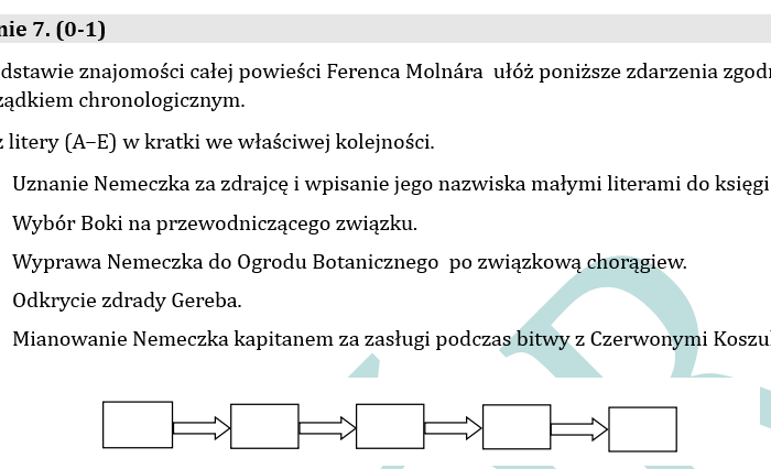 PRÓBNY EGZAMIN Z JĘZYKA POLSKIEGO JUŻ DLA SZÓSTOKLASISTY - CHŁOPCY Z PLACU BRONI