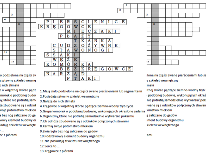 Logogryf na podsumowanie lekcji biologii w klasie 6 "W królestwie zwierząt"