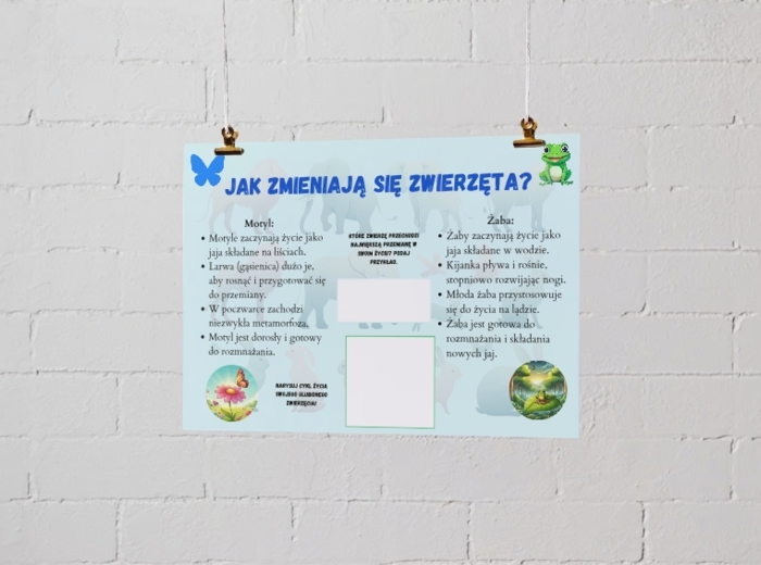 Plakaty edukacyjne. Cykl życia roślin i zwierząt. Różnorodność biologiczna. Jak chronić środowisko? Pięć zasad ekologii.