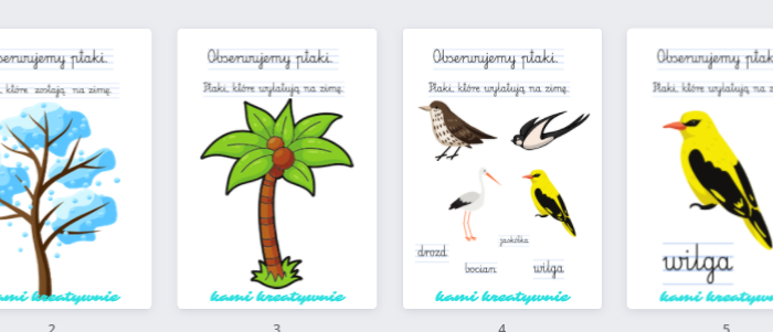 Obserwujemy ptaki