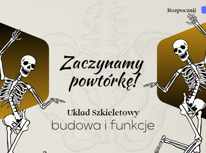 Układ szkieletowy – budowa i funkcje – ćwiczenia online na monitor interaktywny Biologia klasa 7/ Biologia zakres podstawowy// Interaktywna lekcja biologii