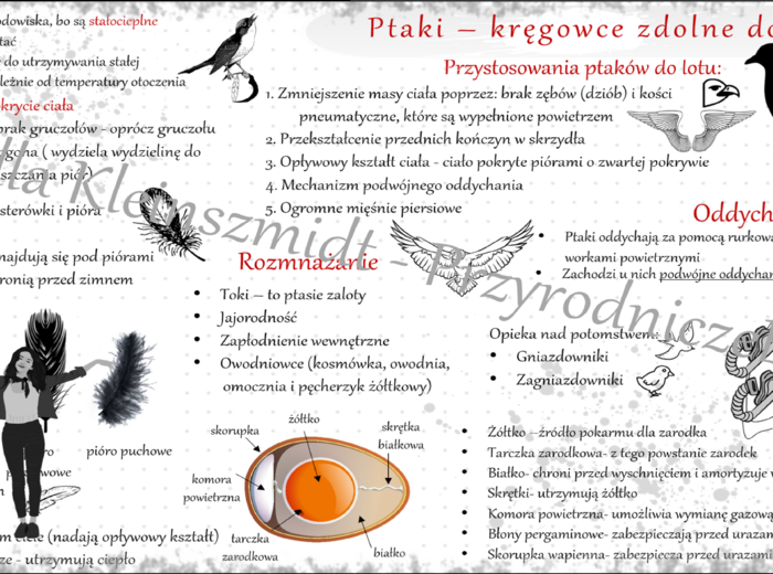 Sketchnotka/notatka do tematu „Ptaki – kręgowce, zdolne do lotu” - dział "Kręgowce stałocieplne"