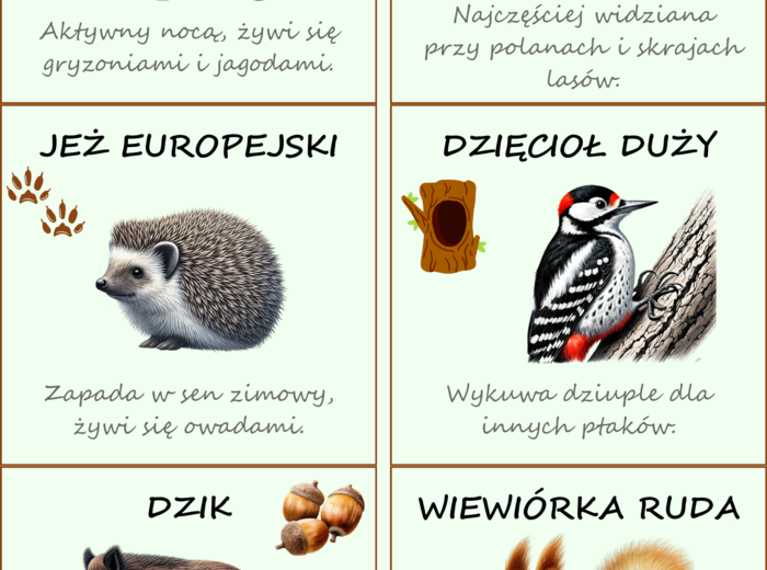 Zwierzęta naszych lasów. Plakat. Bingo