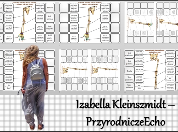 Notatka okienkowa/stacja zadaniowe/notatka interaktywna/notatka graficzna/karta pracy/sketchnotka „Szkielet obręczy i kończyn”, „Szkielet obręczy”, „Szkielet kończyn” w pdf. „Szkielet kończyn”. Biologia 7, dział „Aparat ruchu”. Materiał wykonany na podst