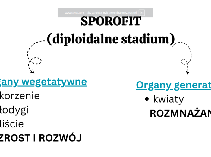 Rośliny pierwotnie wodne + rośliny lądowe i wtórnie wodne KLASA 2 ROZSZERZENIE