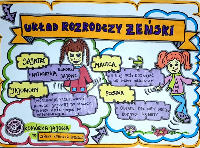 Klasa 4. Przyroda: Układ rozrodczy żeński (dwie karty pracy).