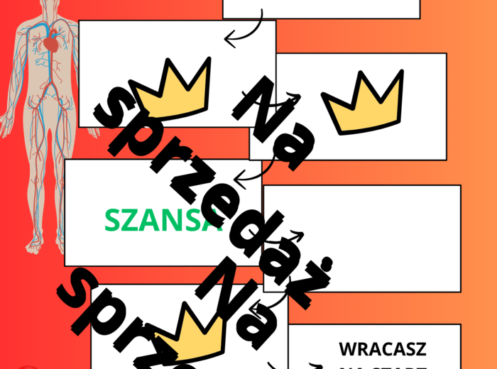Gra planszowa Układ krwionośny