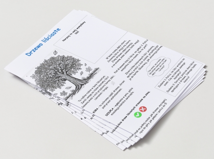 Kolorowanki. Zwierzęta. Rośliny. Drzewa. Las. Łąka. Podstawowe pojęcia (przyroda).