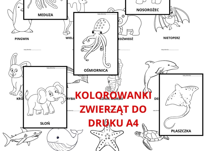 KOLORWANKI ZE ZWIERZĘTAMI DO DRUKU A4 26 KOLOROWANEK