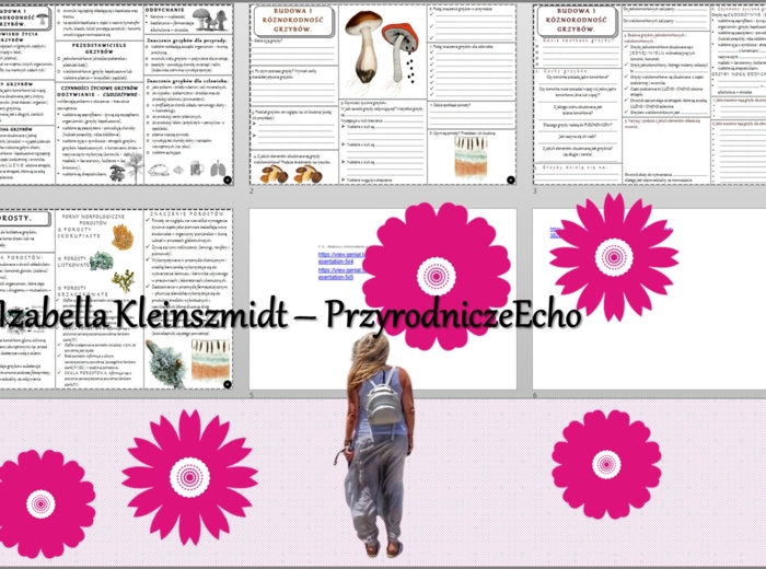 Minizestaw do tematu „Budowa i różnorodność grzybów. Porosty” – sketchnotka + karta pracy w pdf + gratisowy link do prezentacji multimedialnej niekomercyjnej wykonanej w genial.ly do indywidualnego pobrania i użycia do celów niekomercyjnych. Biologia 5, 