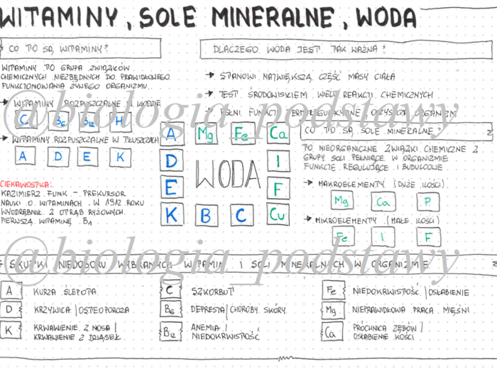 Klasa 7 -Witaminy sole mineralne woda - sketchnotka