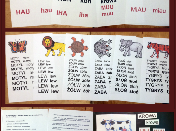 NAUKA CZYTANIA DLA DZIECI SŁABOWIDZĄCYCH. PIERWSZE SŁOWA. Plik PDF do samodzielnego wydruku.