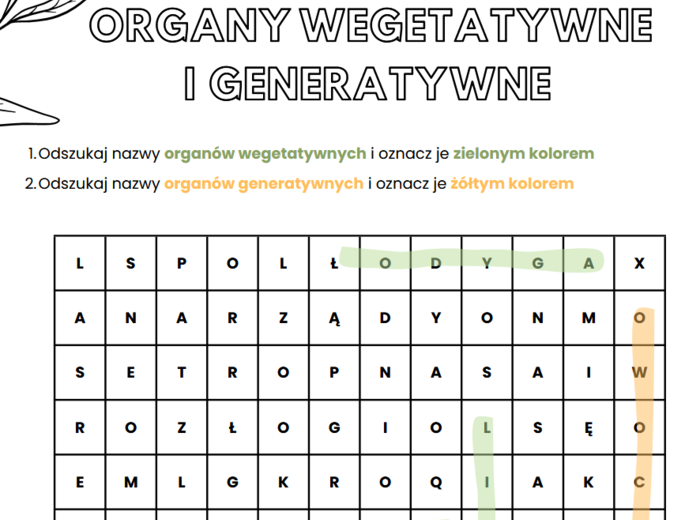 Organy wegetatywne i generatywne roślin (liście, łodyga, korzeń, owoce, kwiat)