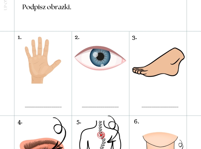 Części ciała workbook + kurs fiszkowy