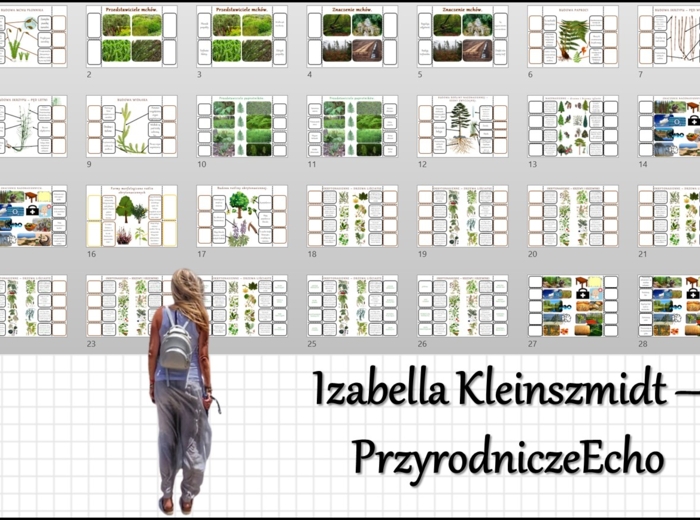 Zestaw notatek okienkowych. Stacje zadaniowe/notatki/notatki graficzne/karty pracy/sketchnotki/projekt/lekcje w terenie do działu „Różnorodność roślin” w pdf. Biologia 5.