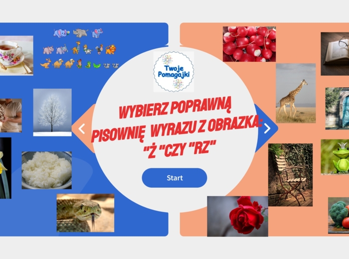 Wesoła ortografia "RZ" czy "Ż" interaktywna gra obrazkowa