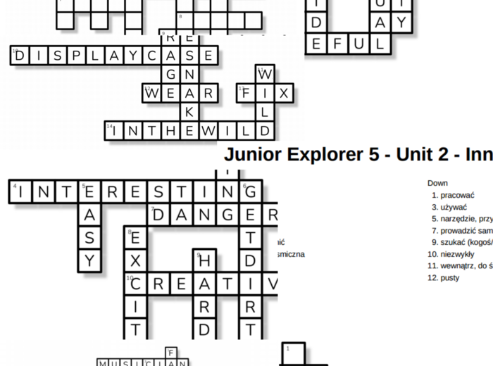 Junior Explorer 5 – Unit 2 – krzyżówki – Przymiotniki/Zawody/Inne słówka