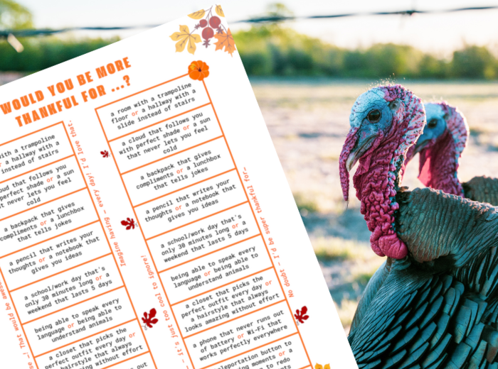 THANKSGIVING 02 – Would you be more thankful for…?