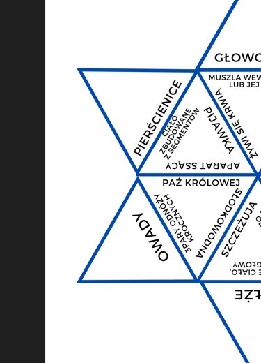 Trimino- pierścienice, stawonogi i mięczaki