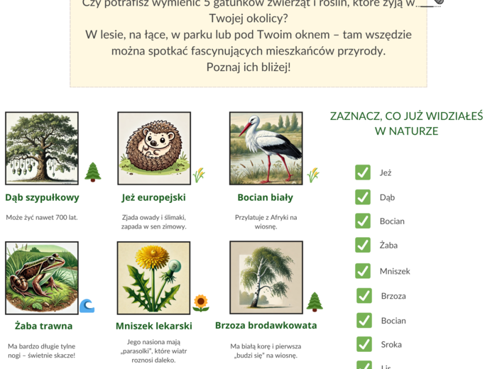 Plakaty edukacyjne. Gatunki roślin i zwierząt. Łańcuchy pokarmowe. Ekologia.