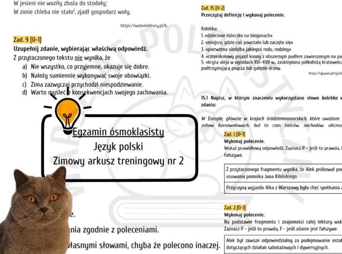 Zimowy egzamin ósmoklasisty - arkusz treningowy nr 2 + klucz