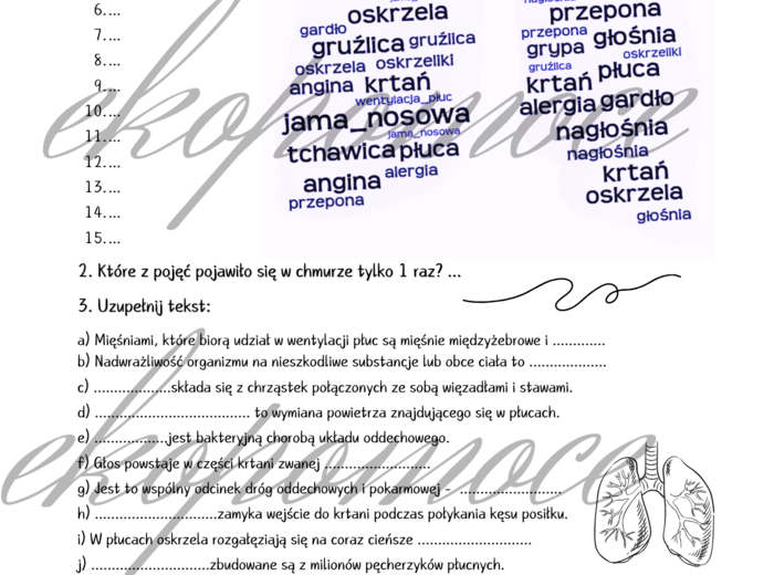 Budowa układu oddechowego - Karta pracy - Układ oddechowy (budowa i higiena) - Biologia Podstawowa w LO i technikum - POWTÓRZENIE WIADOMOŚCI