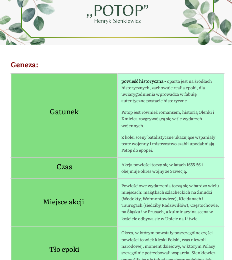 Opracowanie lektury ,,Potop"