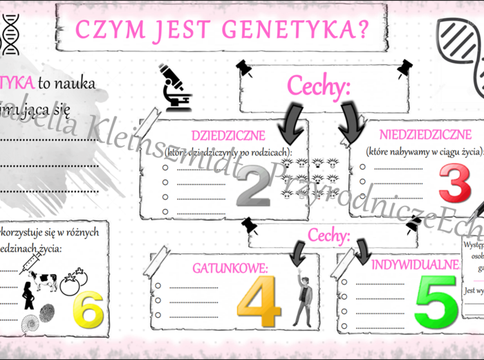 Karta pracy do lekcji multimedialnej „Czym jest genetyka?” Biologia SP – klasa 8, dział I „Genetyka”