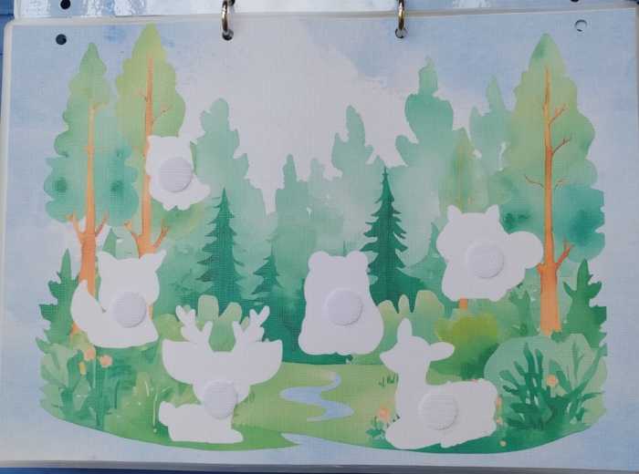 Zwierzęta i ich cienie