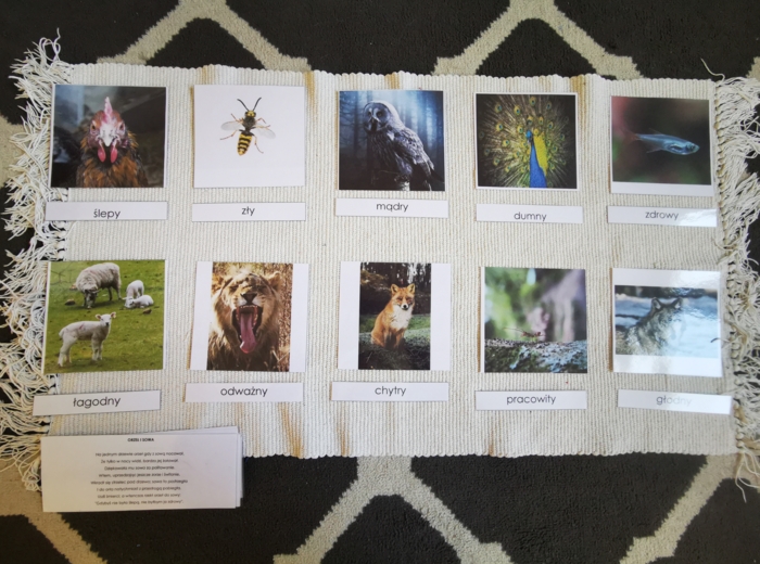 Zwierzęta - porównania - MDJO - bajki - karty montessori