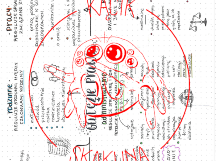 Gałęzie prawa - HISTORIA I TERAŹNIEJSZOŚĆ/WIEDZA O SPOŁECZEŃSTWIE