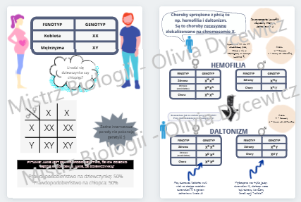 Dziedziczenie płci i chorób sprzężonych z płcią (hemofilia, daltonizm)