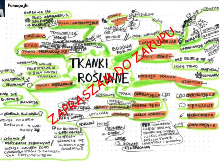 Tkanki roślinne biologia klasa 5 - mapa myśli