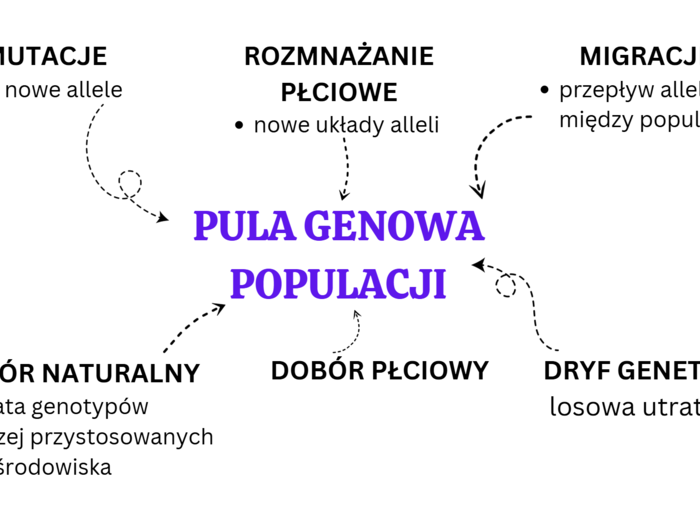 ewolucja organizmów KLASA 4 ROZSZERZENIE BIOLOGIA