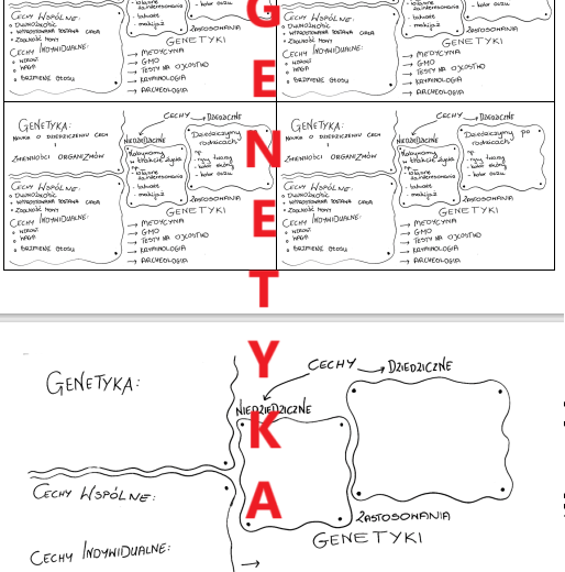 GENETYKA - WSTĘP - WKLEJKA + SZYBKA SKETCHNOTKA DO UZUPEŁNIENIA