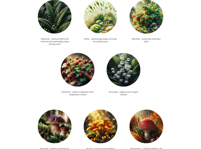 Plakat „Ekosystem leśny” (zwierzęta, drzewa).