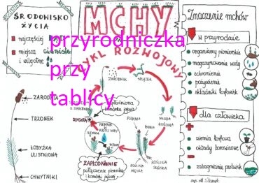 Klasa 5. Biologia. Mchy