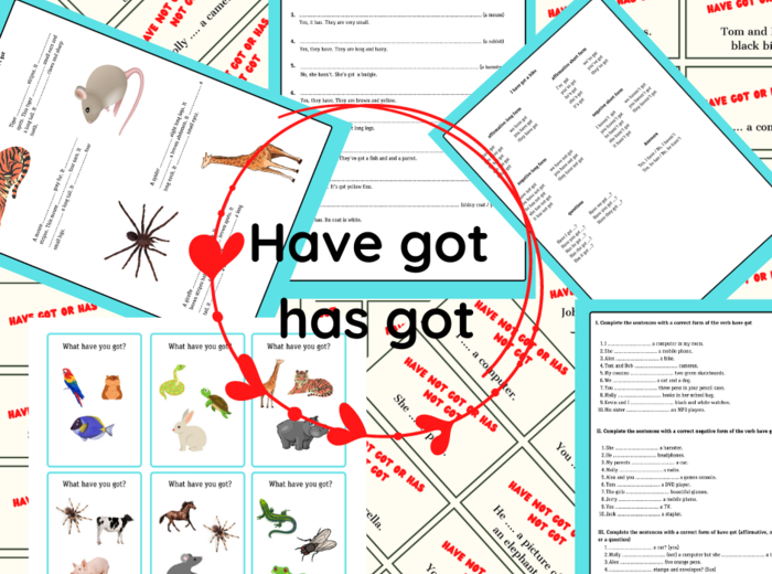 have got - czasownik "mieć"