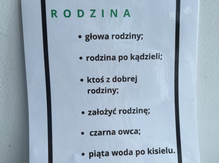 Egzamin ósmoklasisty - motywy - frazeologizmy - synonimy