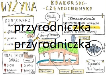 Klasa 5. Geografia. Wyżyna Krakowsko - Częstochowska -sketchnotka