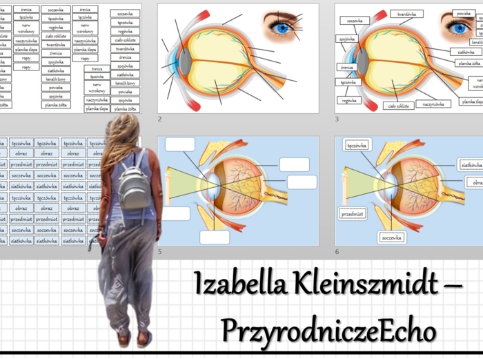 Materiał do zalaminowania/praca w grupach/stacje zadaniowe/układanka/puzzle. „Budowa i działanie narządu wzroku”, Biologia 7. Dział „Narządy zmysłów”