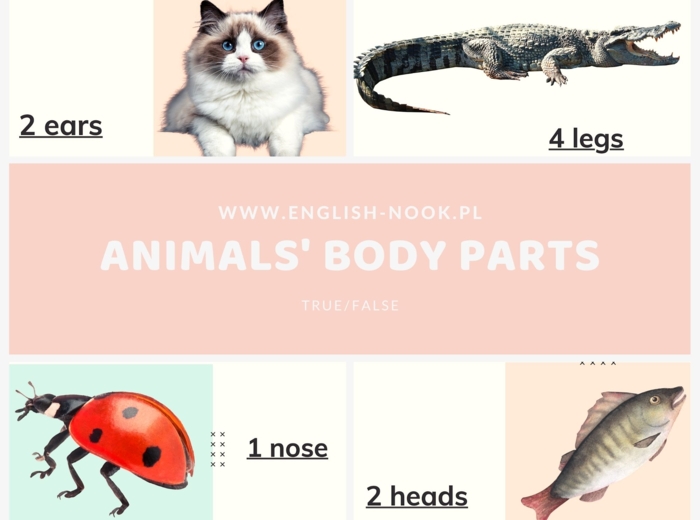 Angielski. Części ciała zwierząt
