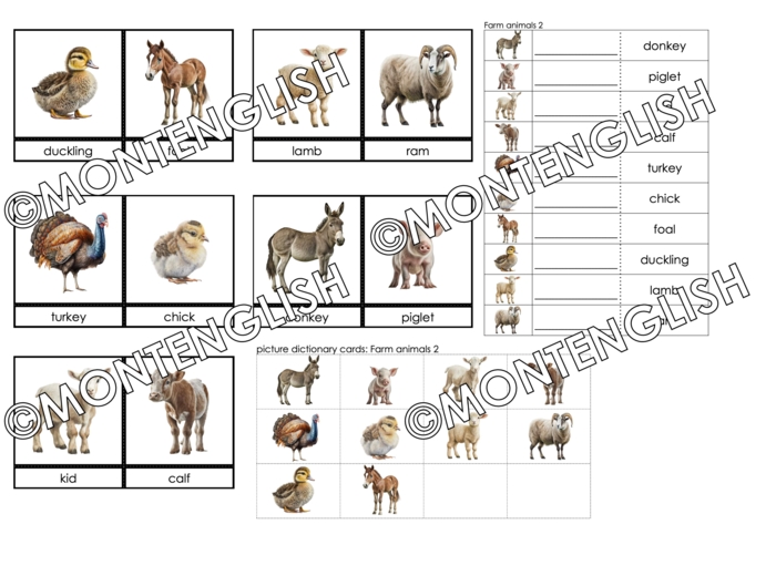 Zestaw kart obrazkowych: FARM ANIMALS SET 2