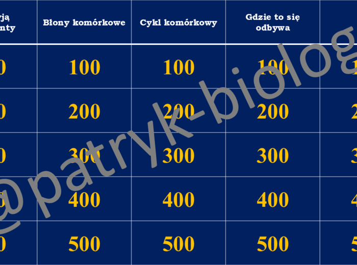 Va Banque - powtórzenie wiadomości klasa 1 (poziom podstawowy)