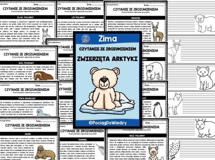 Czytanie ze zrozumieniem - Zwierzęta Arktyki