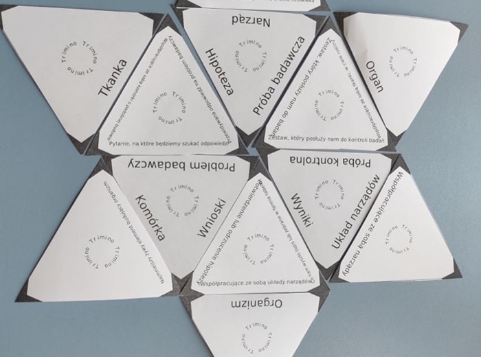 Hierarchiczna budowa organizmów + etapy doświadczenia